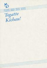 [Rei Kinoshita] Togatte Kichau!-[きのした黎] とがってきちゃう！