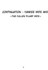 [Mosquito] Continuation - Yankee Wife Akemi (English)-