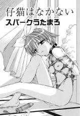 [Spark Utamaro] Koneko wa Nakanai | A kitten that doesn't cry (Junshiri) [English]-[スパークうたまろ] 仔猫はなかない (純尻) [英訳]