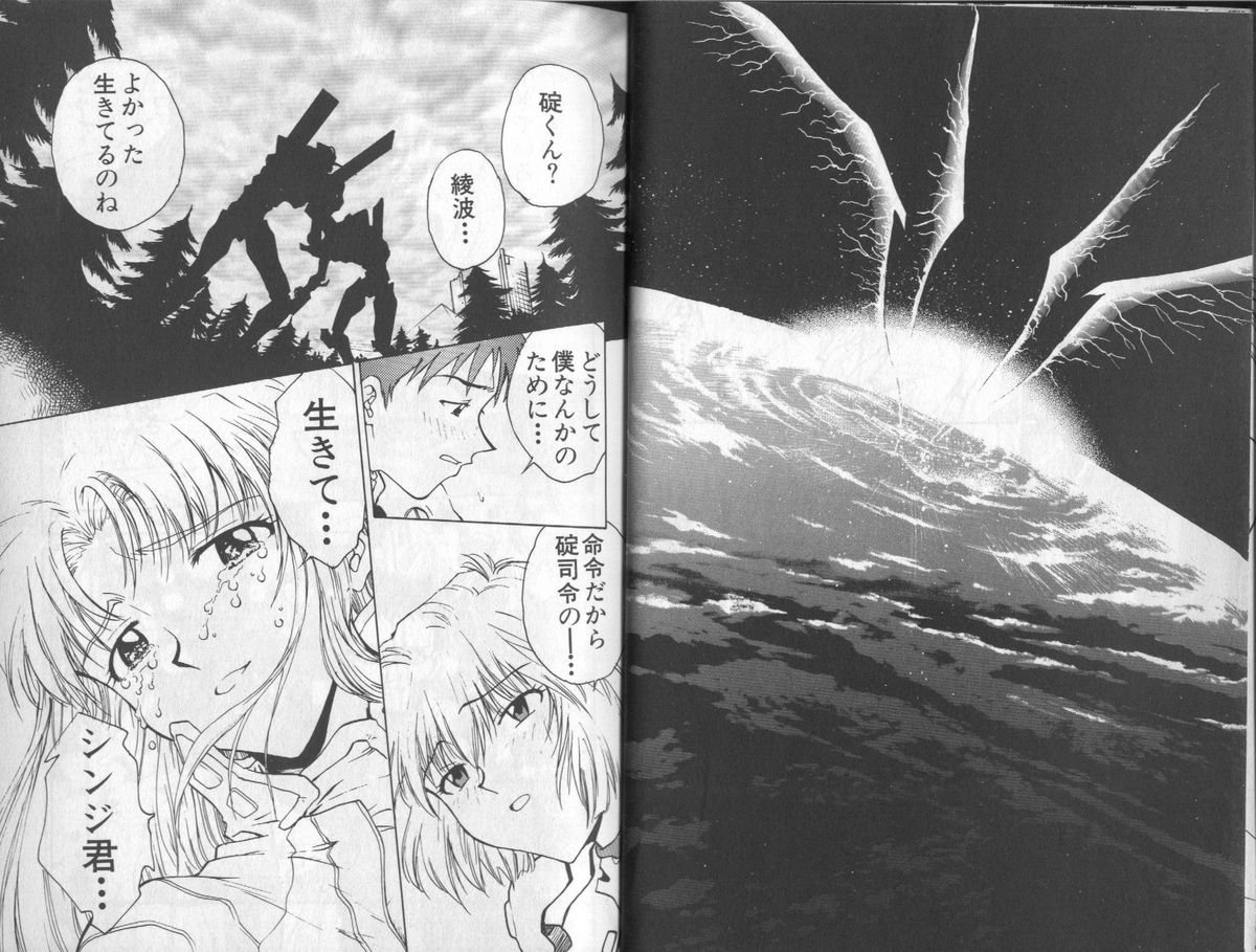 [Fusion Product (Various)] Shitsurakuen 6 | Paradise Lost 6 (Neon Genesis Evangelion) 