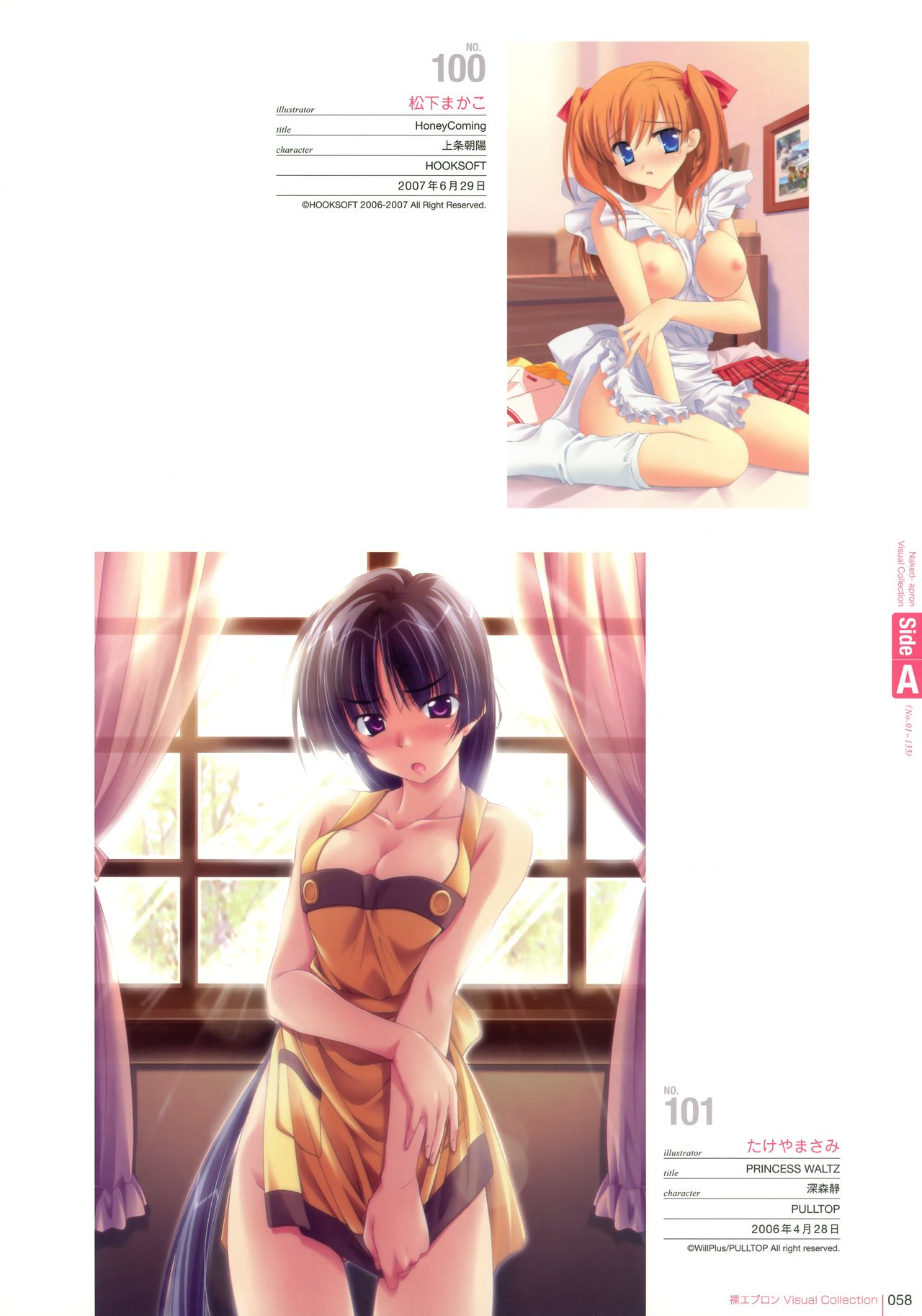 Naked Apron Visual Collection 裸エプロンVisual Collection