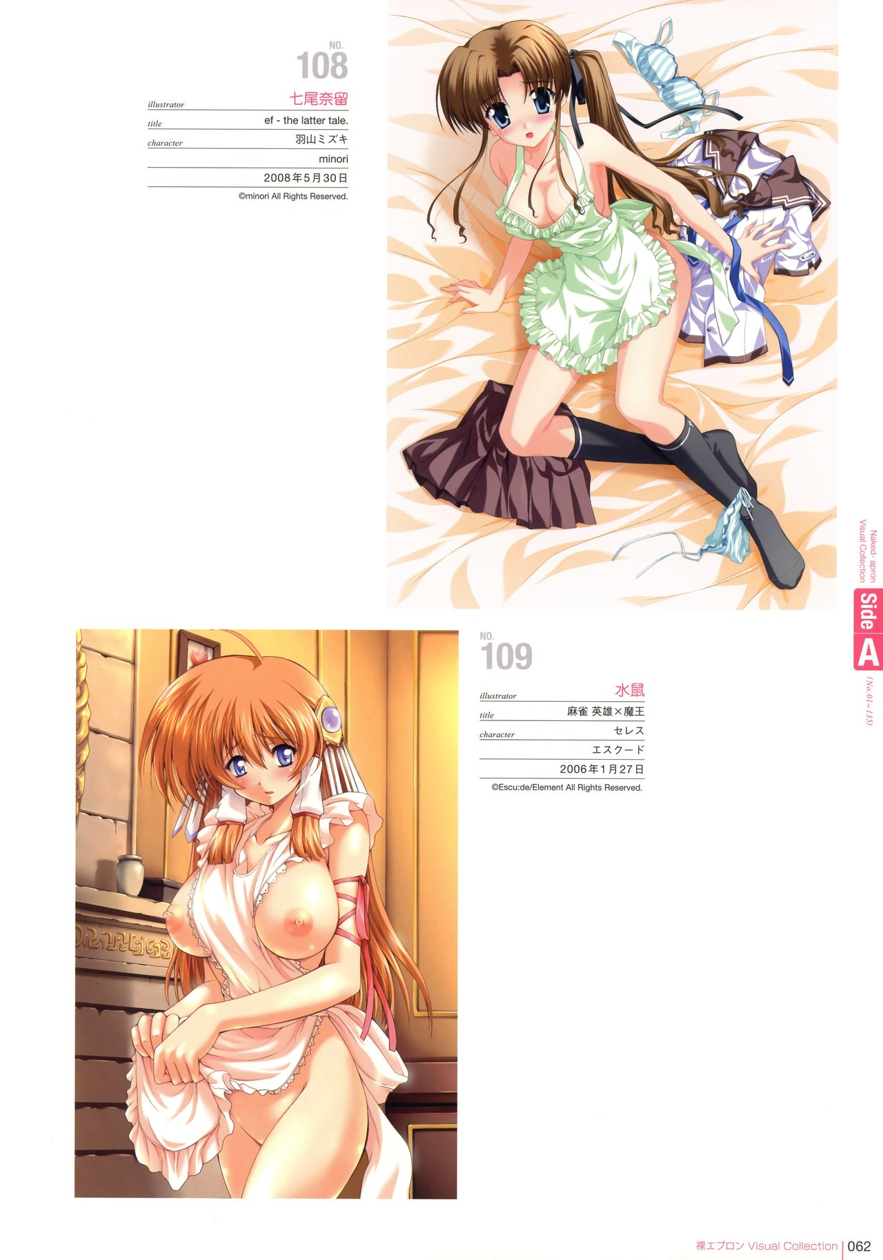 Naked Apron Visual Collection 裸エプロンVisual Collection